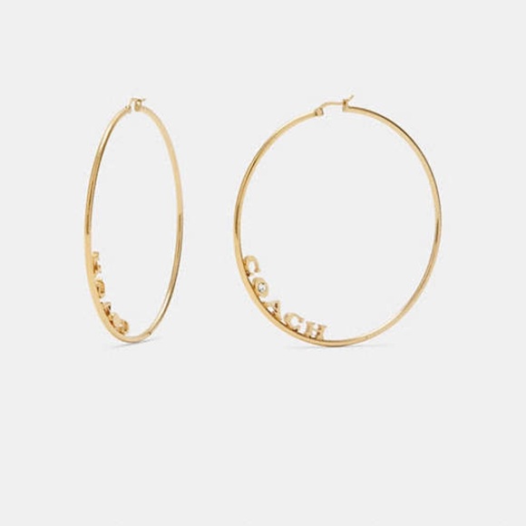 Signature Large Hoop Earrings - Picture 1 of 3